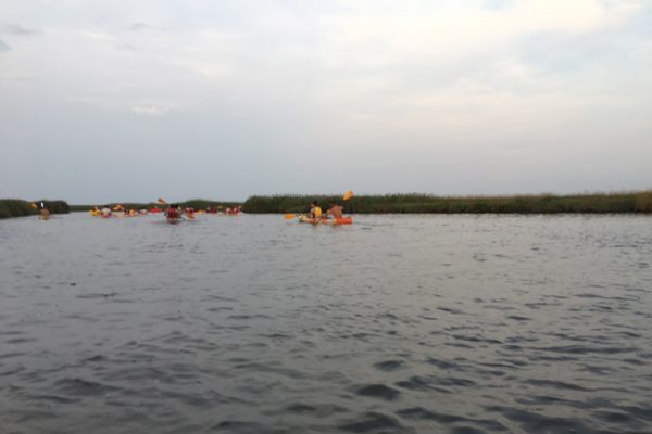 La scuola di salsa M&M's Salsa in canoa tra le valli della laguna veneta